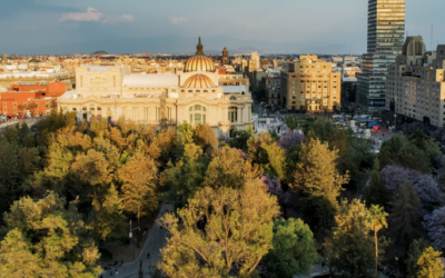 Brugada anuncia programa para plantar un millón de árboles en CDMX; priorizarán oriente de la capital