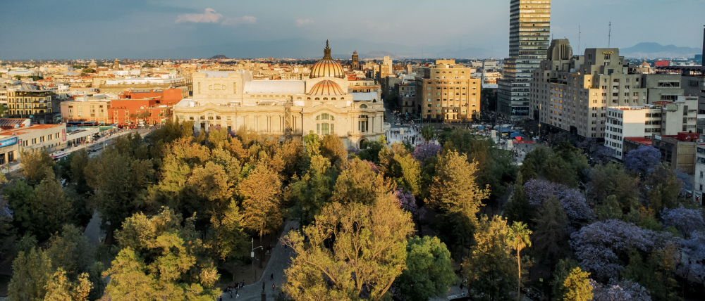 Brugada anuncia programa para plantar un millón de árboles en CDMX; priorizarán oriente de la capital