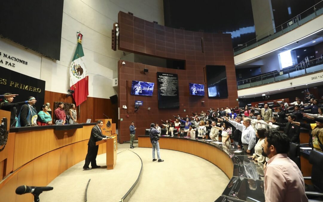 Parlamento Nacional de Juventudes Indígenas y Afrodescendientes en el Senado