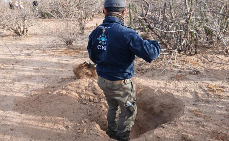 Baja California Sur inicia registro de fosas comunes