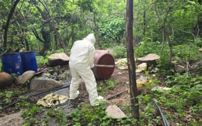 Semar destruye 3 narcolaboratorios en Sinaloa; eran usados para elaborar y resguardar drogas sintéticas