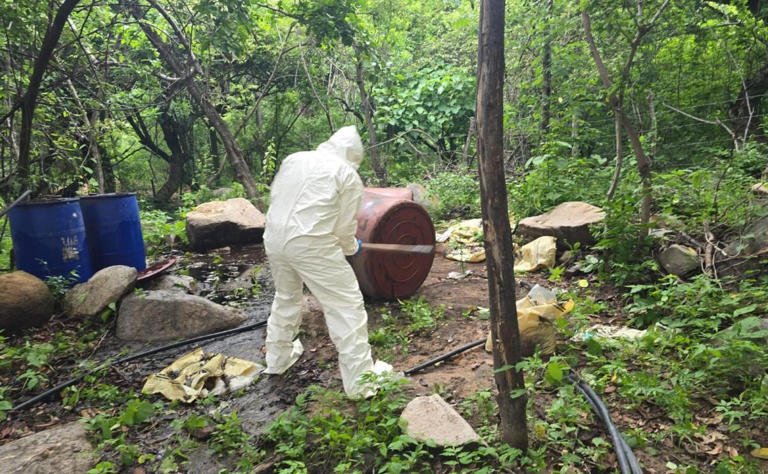 Semar destruye 3 narcolaboratorios en Sinaloa; eran usados para elaborar y resguardar drogas sintéticas