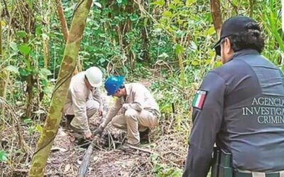 Detectan “ordeña” de hidrocarburo en ranchería de Cárdenas, Tab.