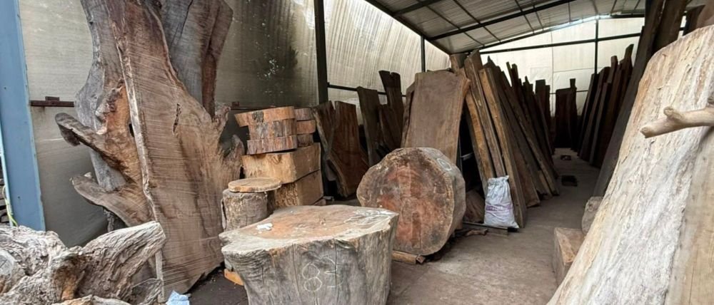 Desmantelan red de tala ilegal en Fuentes de Tepepan, Tlalpan