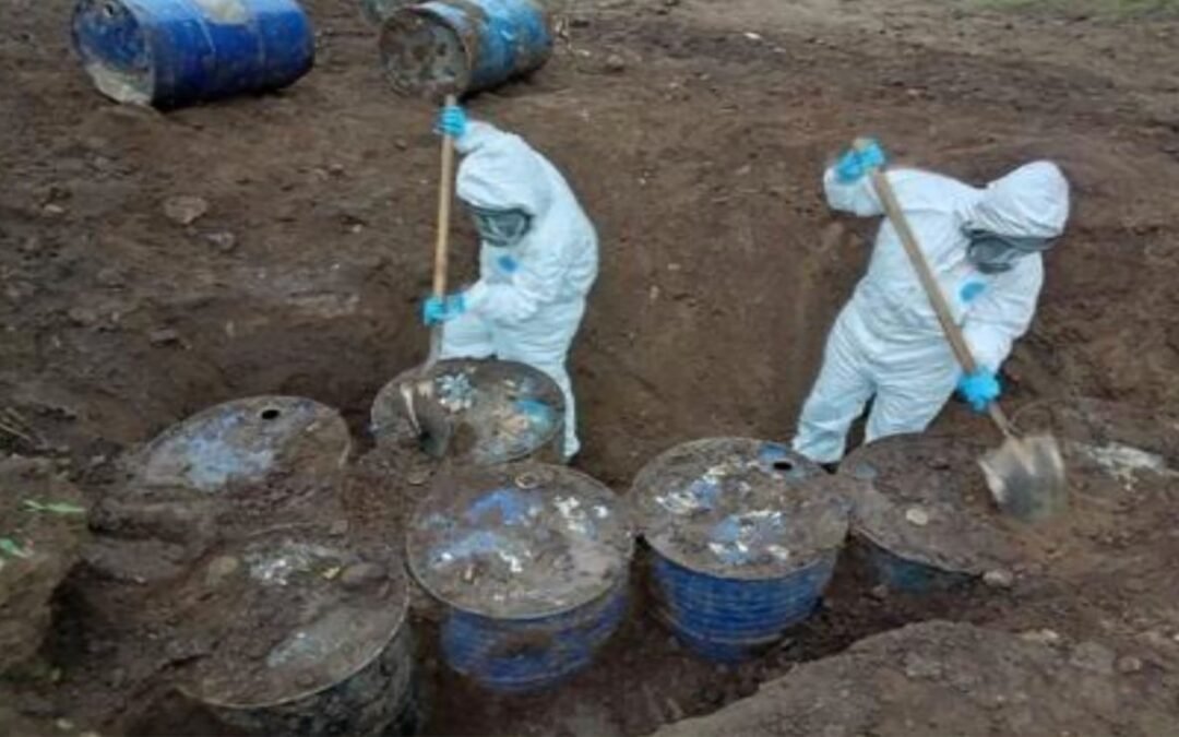 Aseguran narcolaboratorio y armas en diversos municipios de Sinaloa