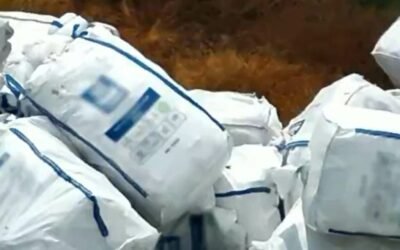 Decomisan 800 mil litros de hidrocarburo tras un cateo en Puebla