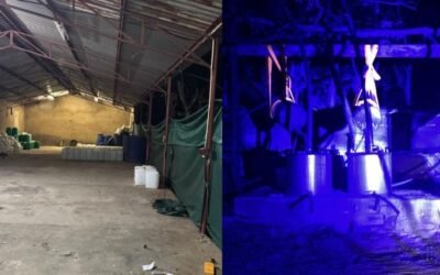 Detienen a dos mexicanos en Sudáfrica tras desmantelar narcolaboratorio