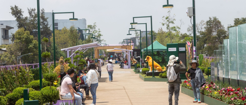Mariposas y colibríes encuentran refugio en Jardín Flotante Tlallipan