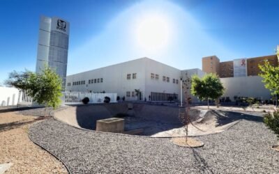 Mienten al gobierno y no pasa nada: sancionan a proveedores del IMSS y siguen cobrando contratos millonarios