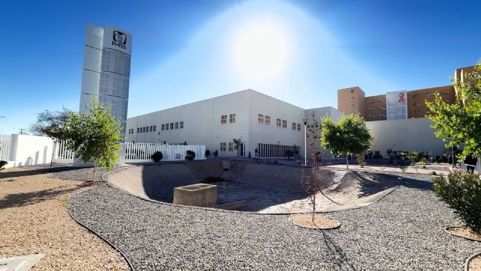 Mienten al gobierno y no pasa nada: sancionan a proveedores del IMSS y siguen cobrando contratos millonarios