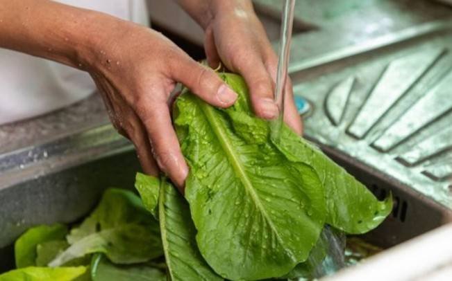 Campaña en Querétaro para prevenir enfermedades por alimentos.