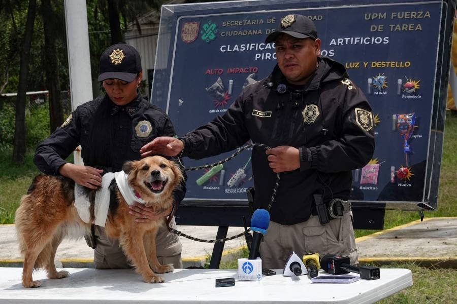 Pirotecnia en Fiestas Patrias: riesgos de salud, contaminación y afectaciones en mascotas