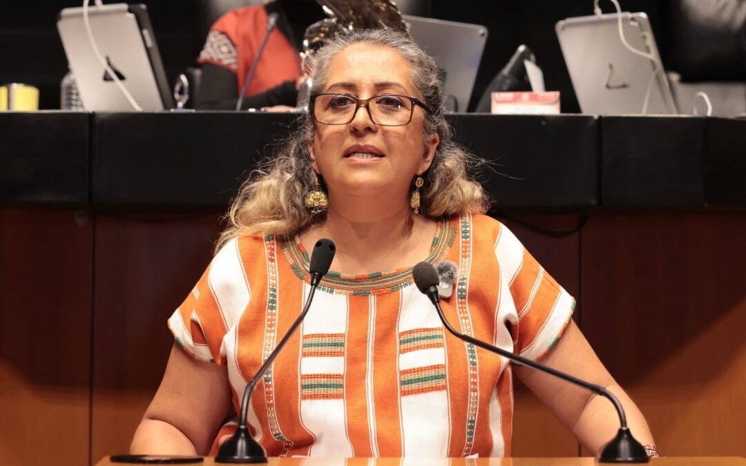 Busca iniciativa elevar a rango constitucional el derecho de toda persona a su identidad digital