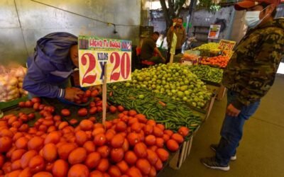 Producción de chile, jitomate y cebolla garantiza abasto en fiestas patrias