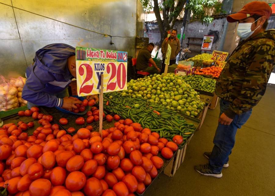 Producción de chile, jitomate y cebolla garantiza abasto en fiestas patrias
