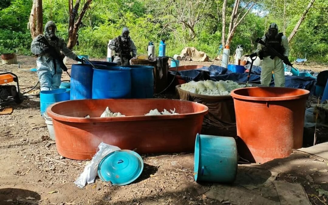 Desmantelan 4 laboratorios clandestinos en Michoacán y Guerrero