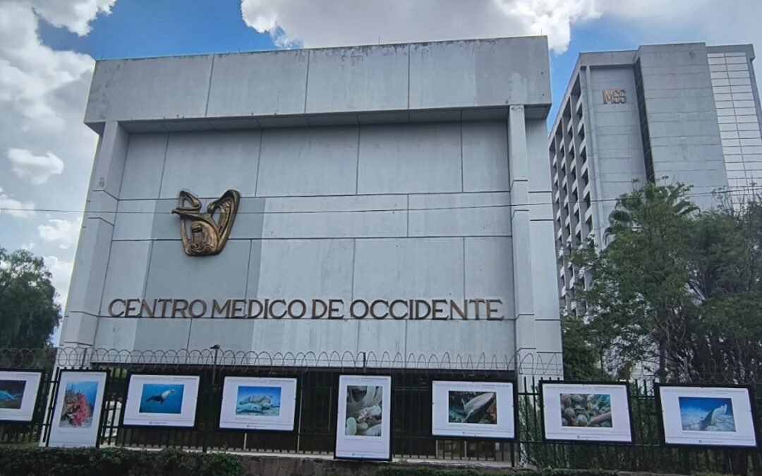 Denuncian ante FGR muerte de bebés en IMSS de Jalisco; acusan bacteria