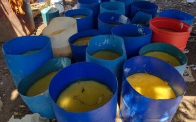 Inhabilitan tres laboratorios clandestinos de drogas sintéticas en Sinaloa