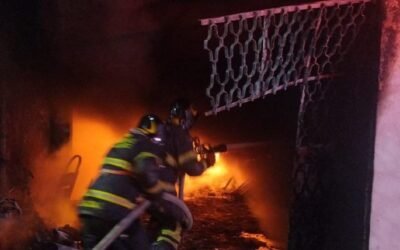 Mueren 14 perros en un incendio provocado por pirotecnia en Nueva Atzacoalco