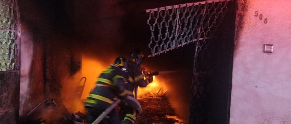 Mueren 14 perros en un incendio provocado por pirotecnia en Nueva Atzacoalco