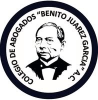 Avala Colegio de Abogados de Morelos la actuación del Fiscal Blumenkron en el Caso Totolapan.