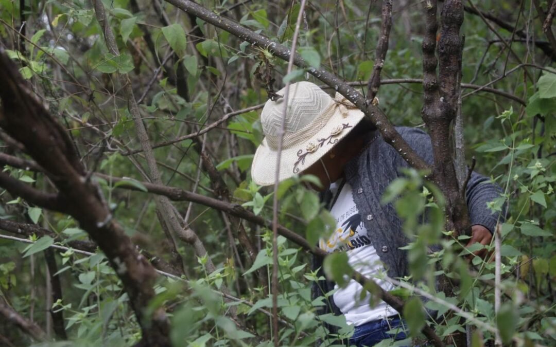 Hallan 10 restos humanos durante búsqueda de desaparecidos en la Montaña de Guerrero