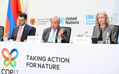 Las emisiones de metano siguen sin medirse correctamente, alerta la ONU