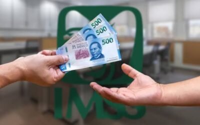 Modificaciones a Modalidad 40 del IMSS para evitar Mega Pensiones