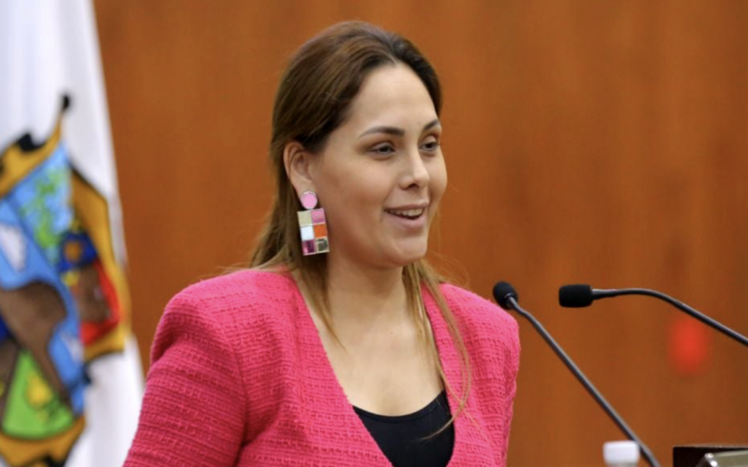 Diputada del Verde denuncia ataque con navaja en Río Bravo; pide protección