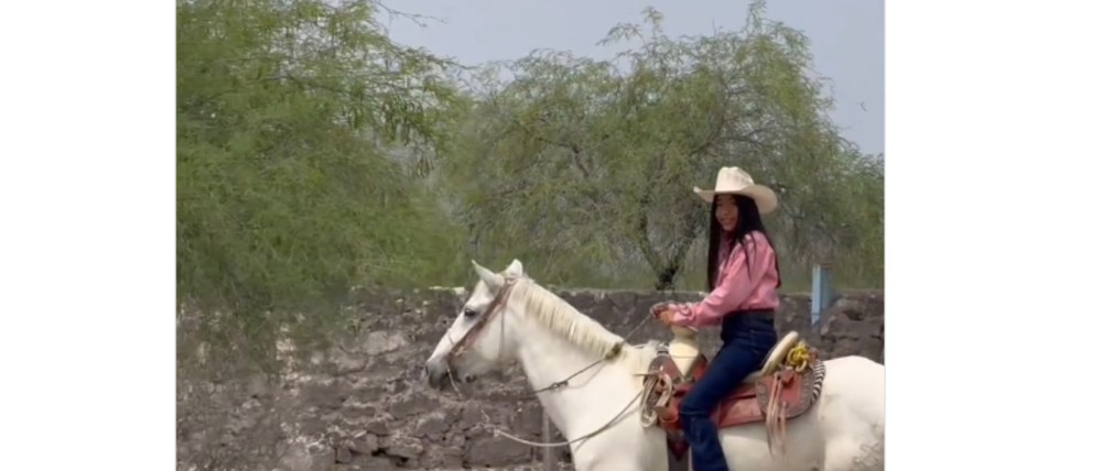 Quinceañera invita a todo México a su fiesta en San Luis Potosí
